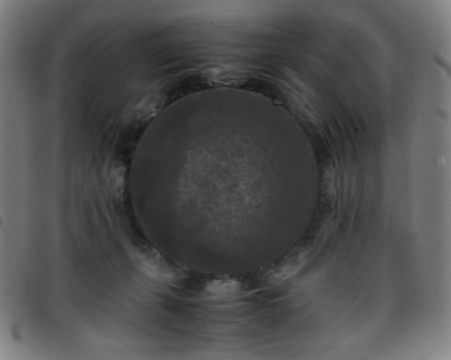 X0000097660271200803071539
