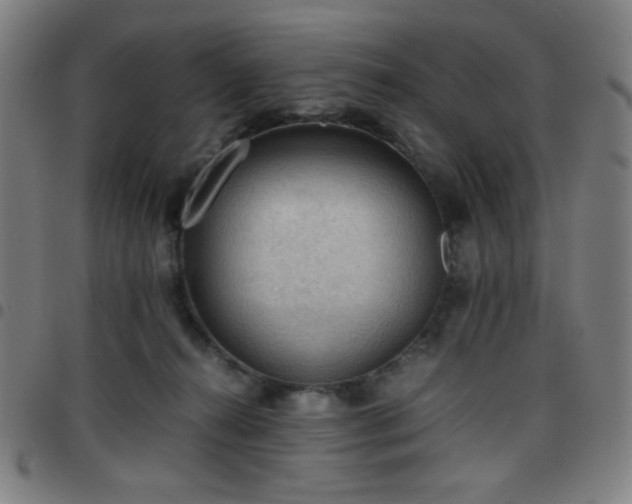 X0000097660272200803071539