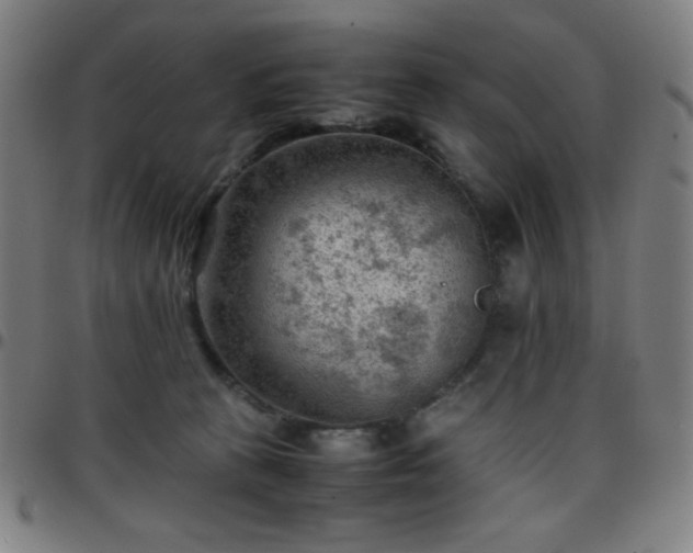 X0000097660273200803071539