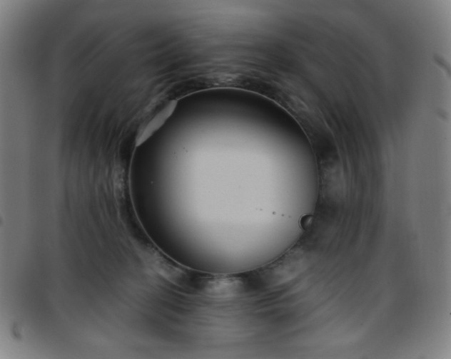X0000097660274200803071539