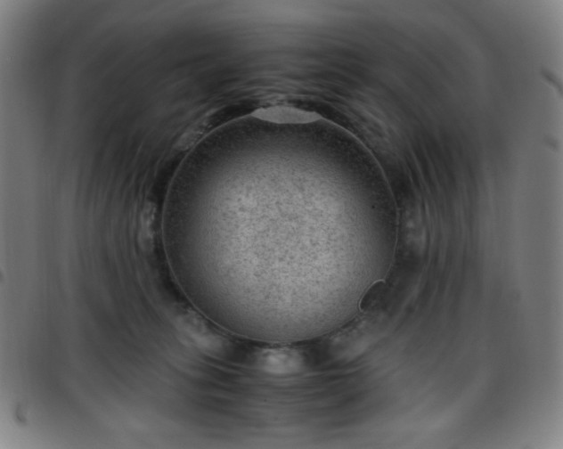 X0000097660275200803071539