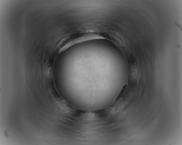 X0000097660276200803071539
