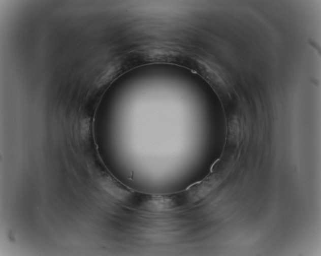 X0000097660278200803071539