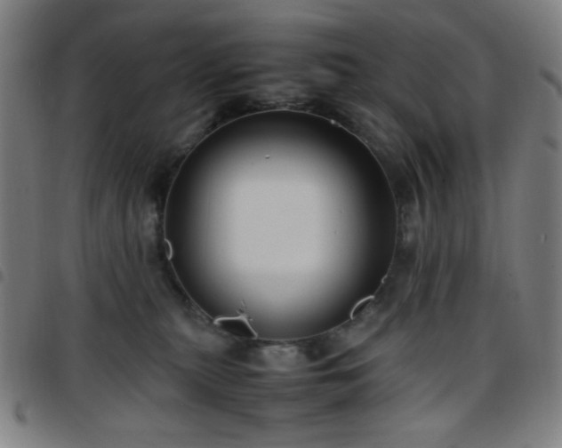 X0000097660279200803071539