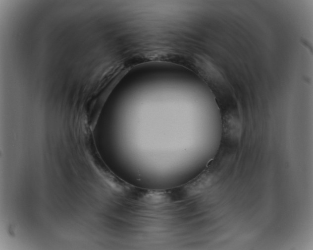 X0000097660280200803071539