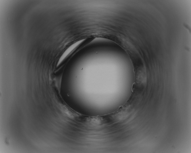 X0000097660282200803071539