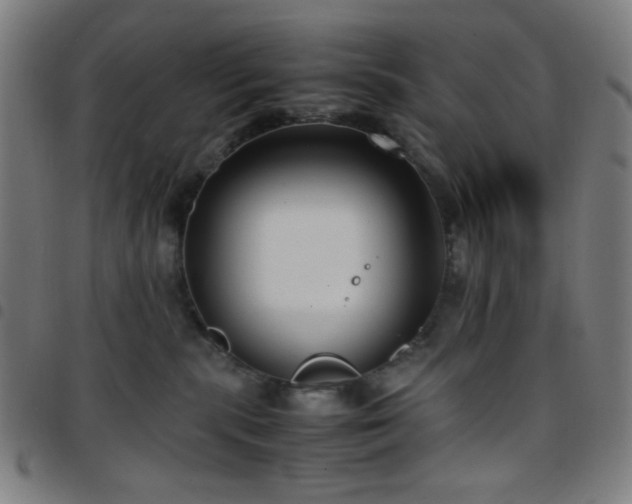 X0000097660283200803071539