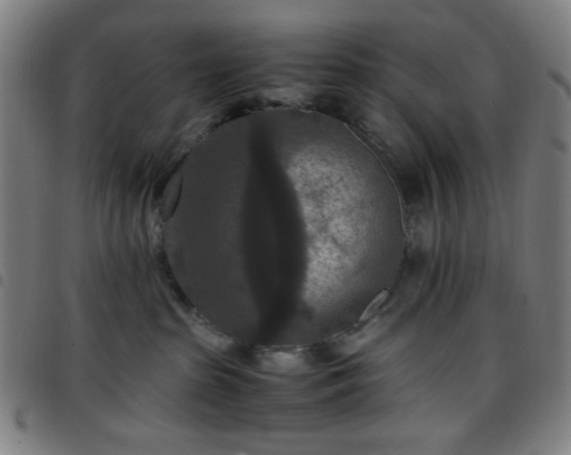 X0000097660285200803071539