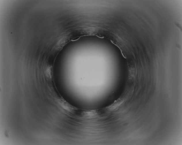 X0000097660286200803071539