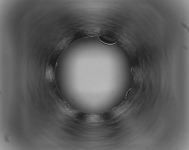X0000097660287200803071539