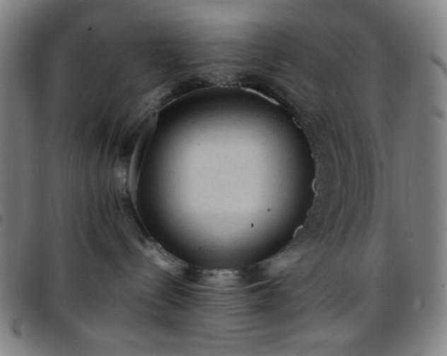 X0000097660288200803071539
