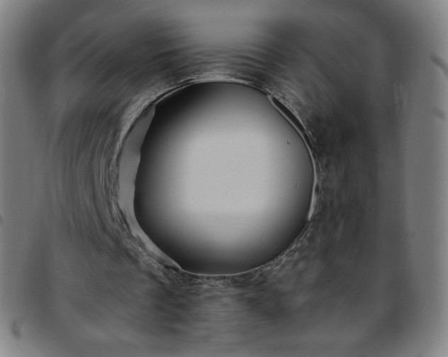 X0000097660289200803071539