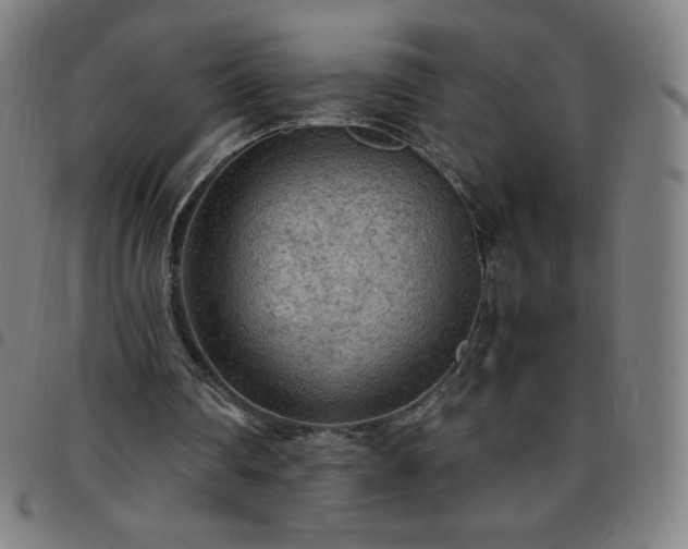 X0000097660290200803071539