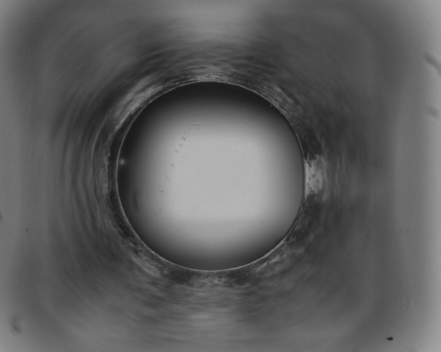 X0000097660291200803071539