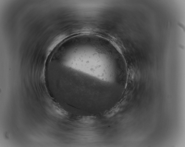 X0000097660292200803071539
