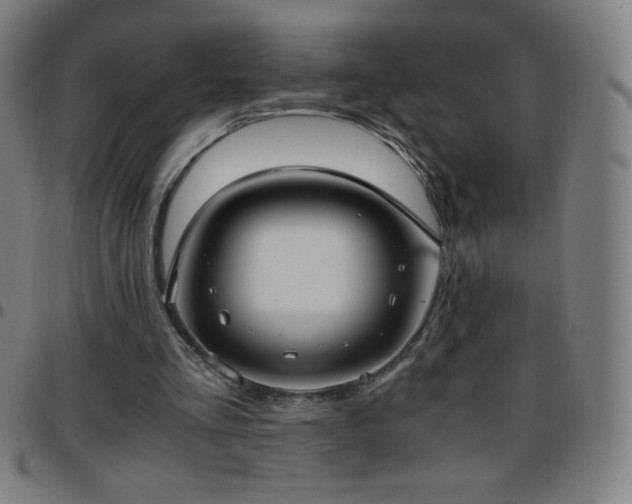 X0000097660293200803071539