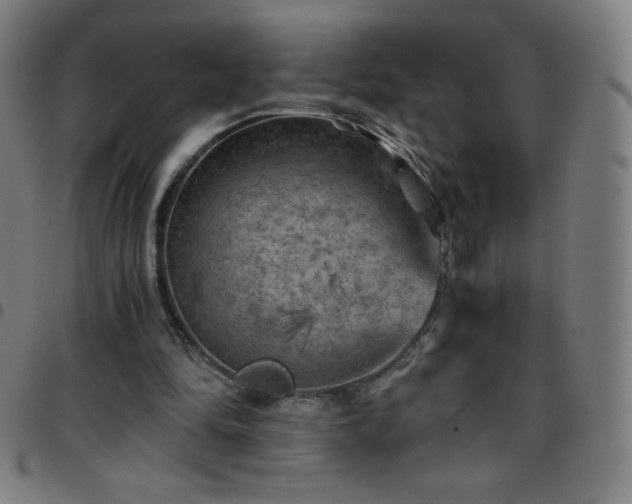 X0000097660294200803071539