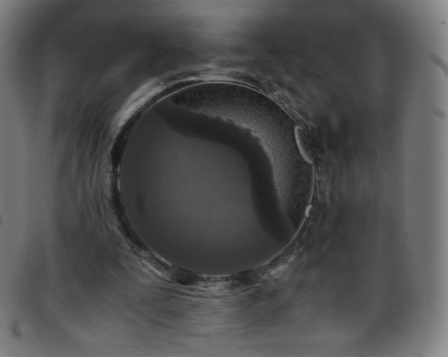 X0000097660295200803071539