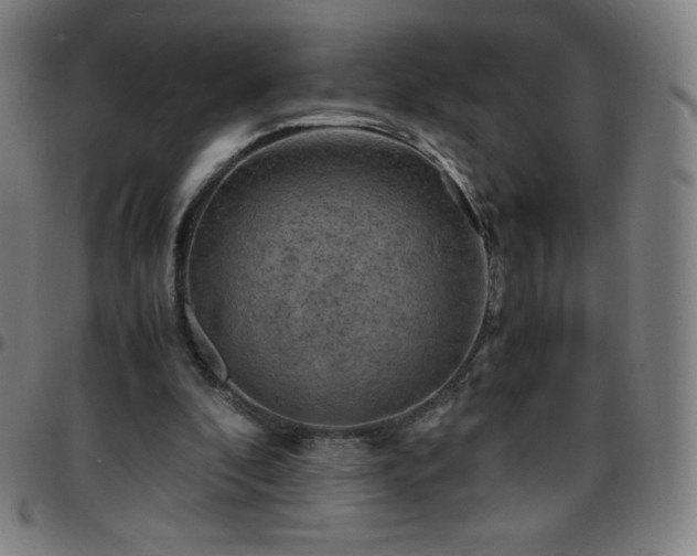 X0000097660296200803071539