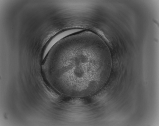 X0000097660299200803071539