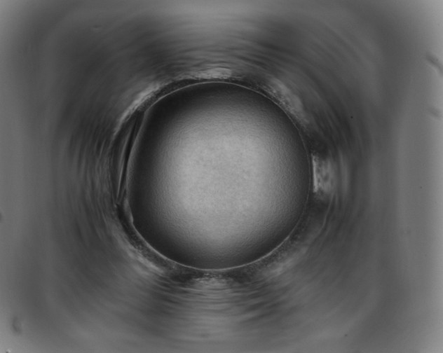 X0000097660300200803071539