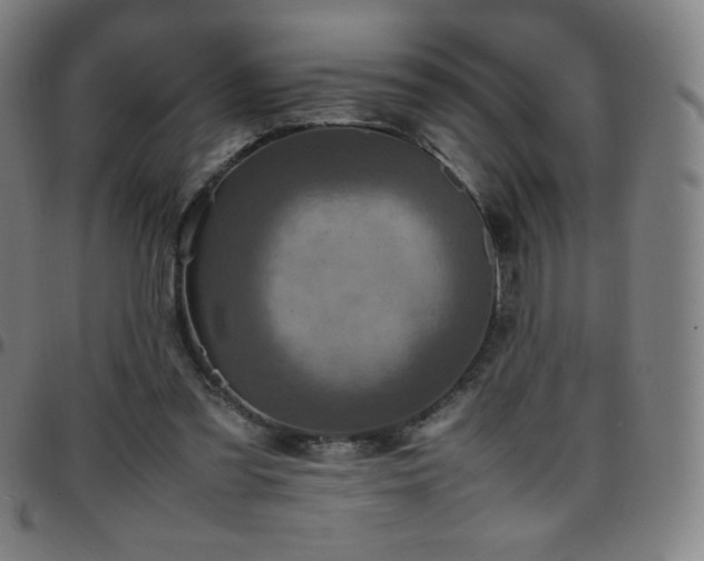 X0000097660301200803071539