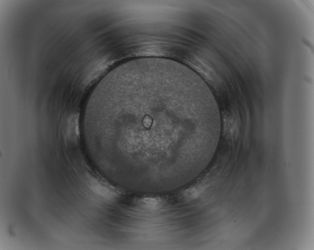 X0000097660302200803071539