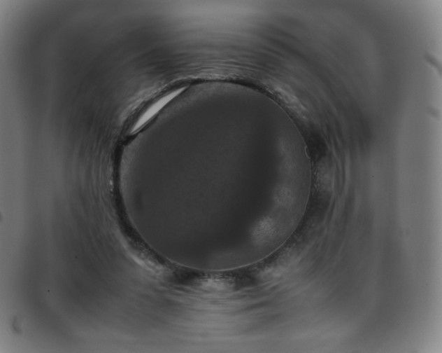 X0000097660303200803071538