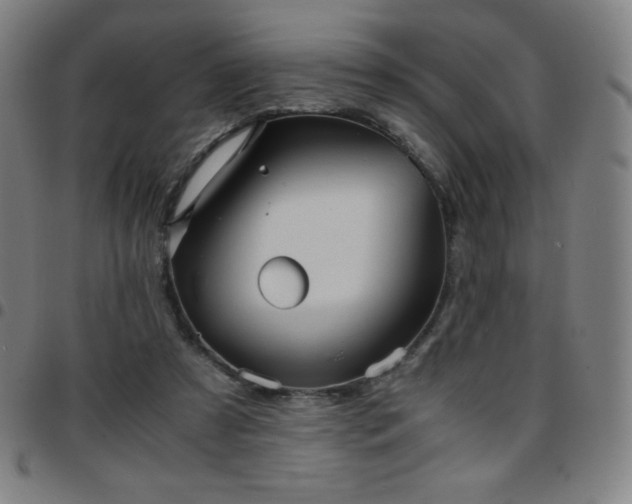 X0000097660305200803071538