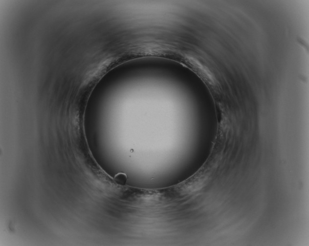 X0000097660306200803071538