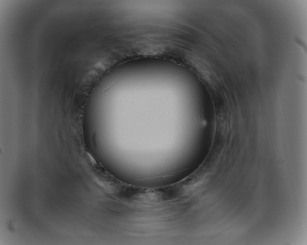 X0000097660307200803071538