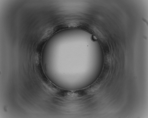X0000097660311200803071538