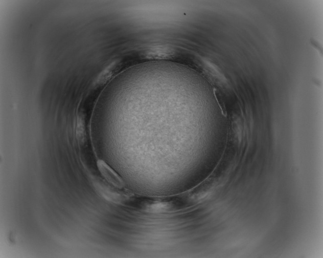 X0000097660312200803071538