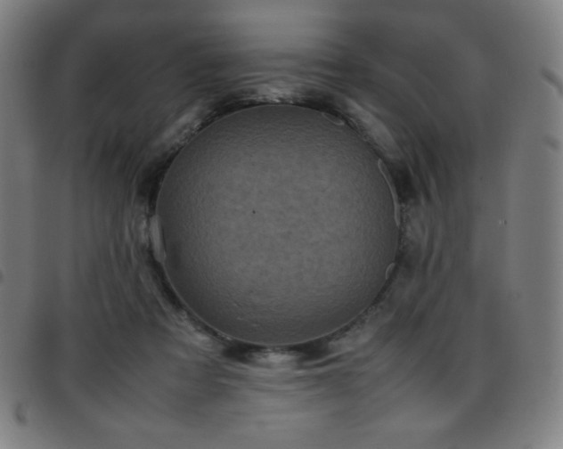 X0000097660313200803071538
