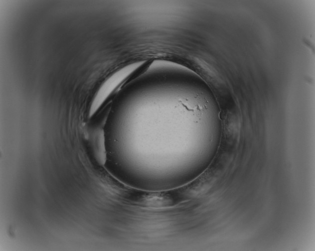 X0000097660315200803071538
