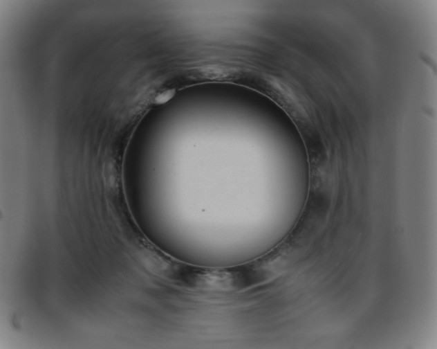 X0000097660317200803071538