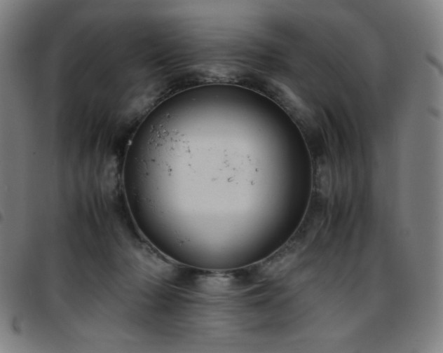 X0000097660318200803071538