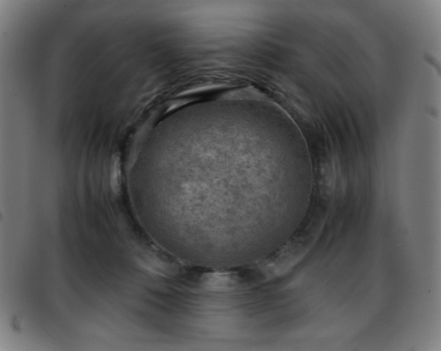X0000097660320200803071538