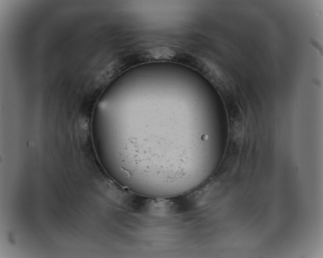 X0000097660321200803071538