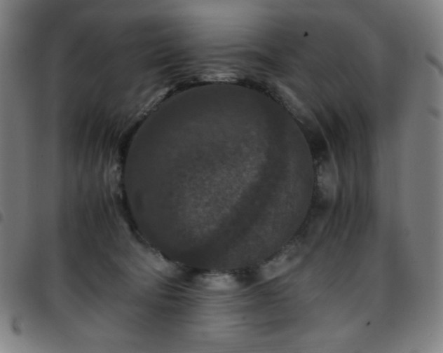 X0000097660322200803071538