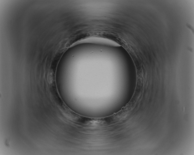 X0000097660323200803071538