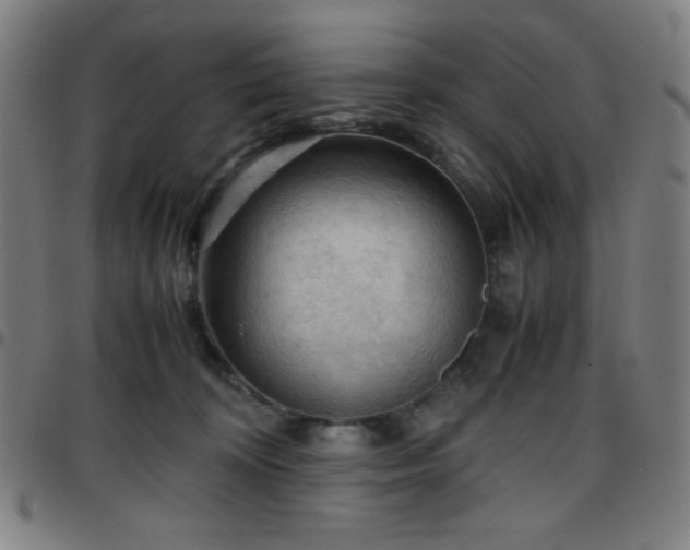 X0000097660324200803071538