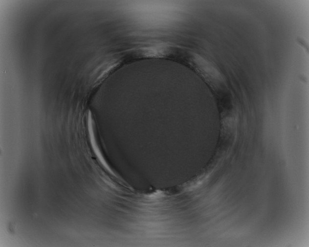 X0000097660325200803071538