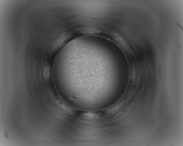 X0000097660326200803071538