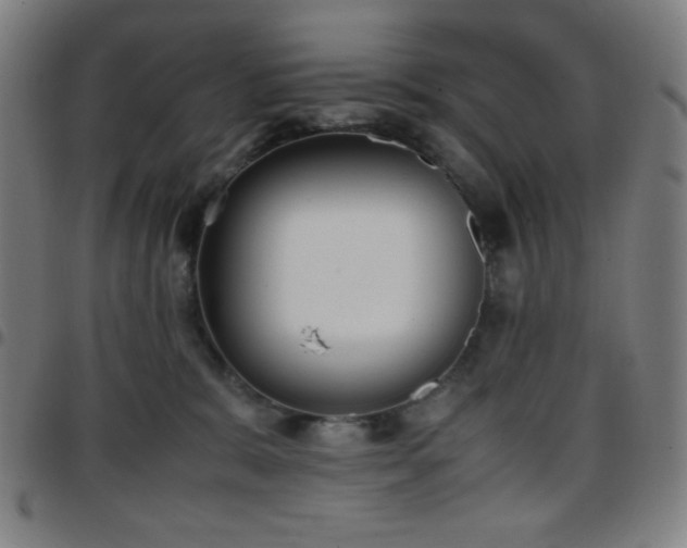 X0000097660327200803071538