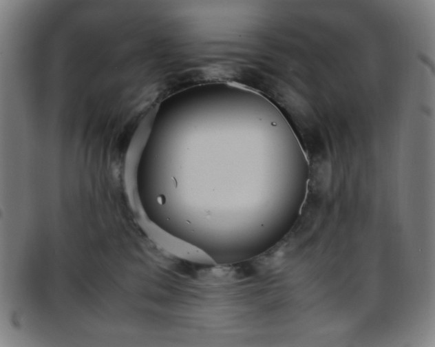 X0000097660329200803071538