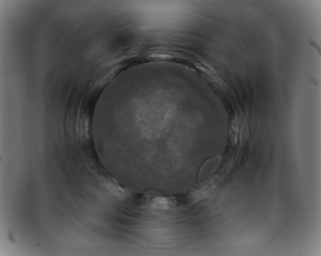 X0000097660330200803071538