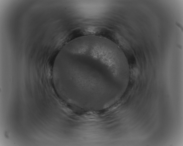 X0000097660331200803071538