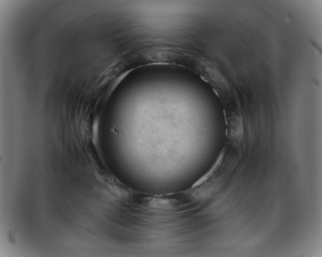 X0000097660332200803071538