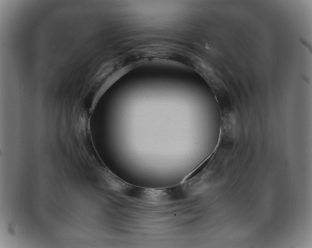 X0000097660333200803071538